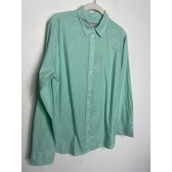 Everlane Size 4 Button Down Pinstripe Shirt Mint Green Oversized Cotton NWT - Picture 2 of 10